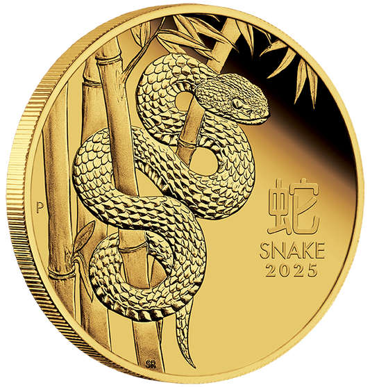 2025 $100 Lunar Year of The Snake 1oz Gold Proof Coin