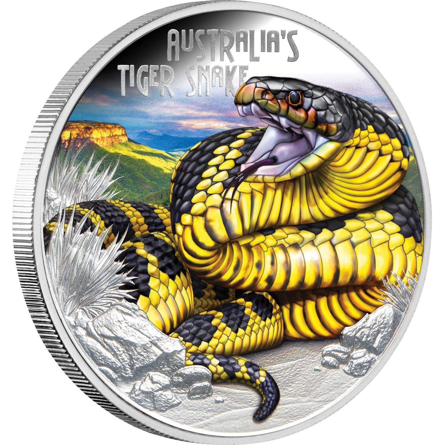 Tuvalu 2025 $1 Deadly and Dangerous Tiger Snake 1oz Silver Coloured Proof Coin
