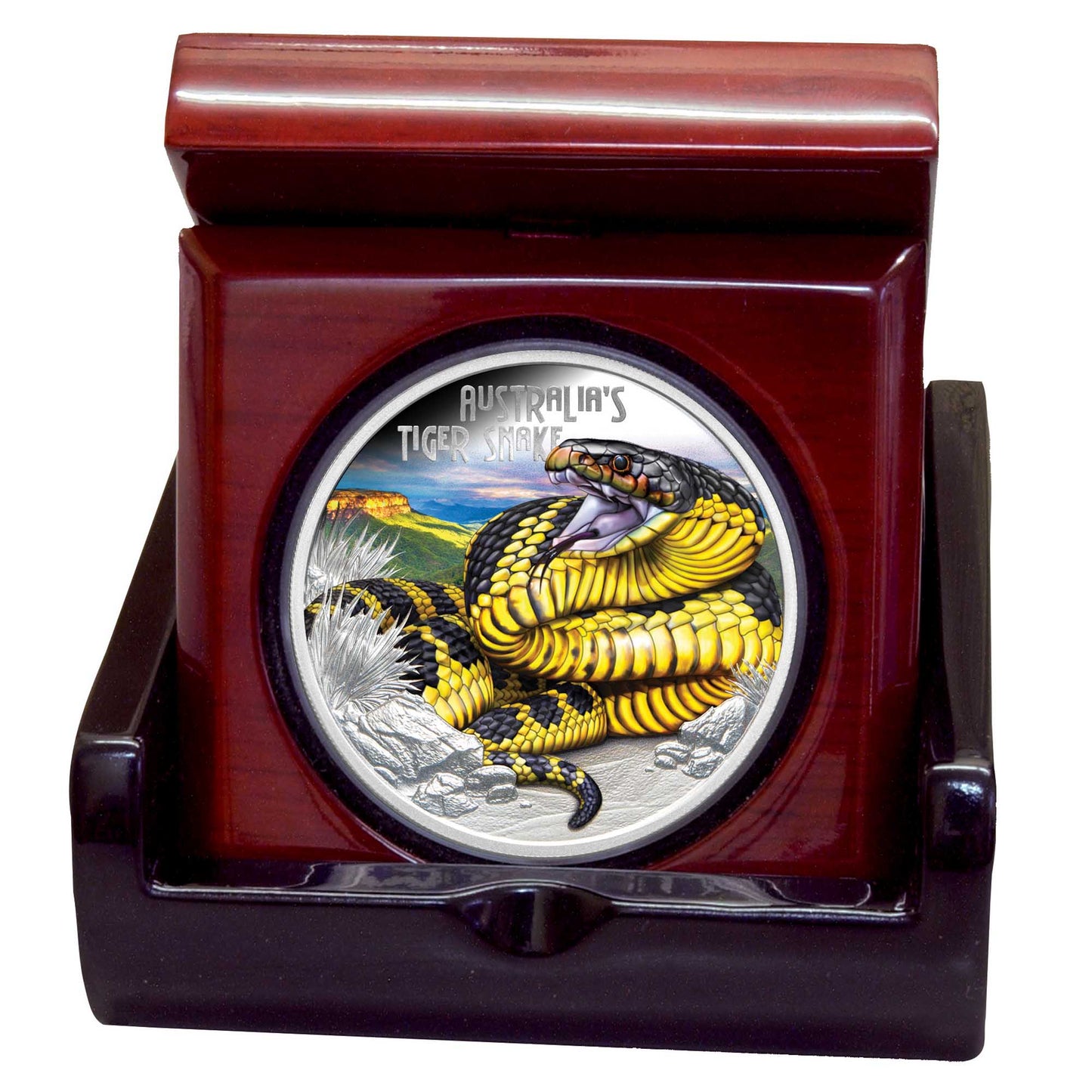 Tuvalu 2025 $1 Deadly and Dangerous Tiger Snake 1oz Silver Coloured Proof Coin