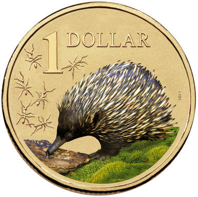 2008 $1 Land Series Echidna Coloured Uncirculated Coin