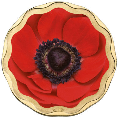 2011 $5 Remembrance Day Coloured Uncirculated Coin