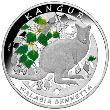 2013 Kangaroos of The World Silver Proof 2 Coin Set