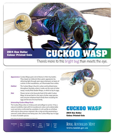 2014 $1 Bright Bug Cuckoo Wasp Coloured Uncirculated Coin