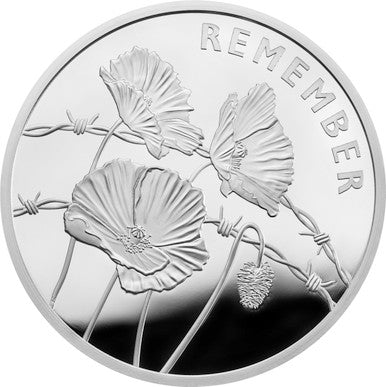 2018 Armistice Centenary Silver Proof 3 Coin Set