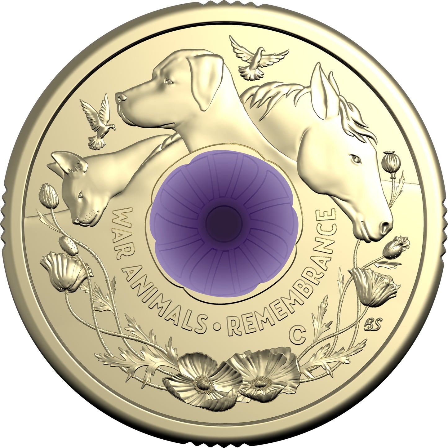 2024 $2 War Animals Remembrance Purple Poppy 'C' Mintmark Coloured Uncirculated Coin