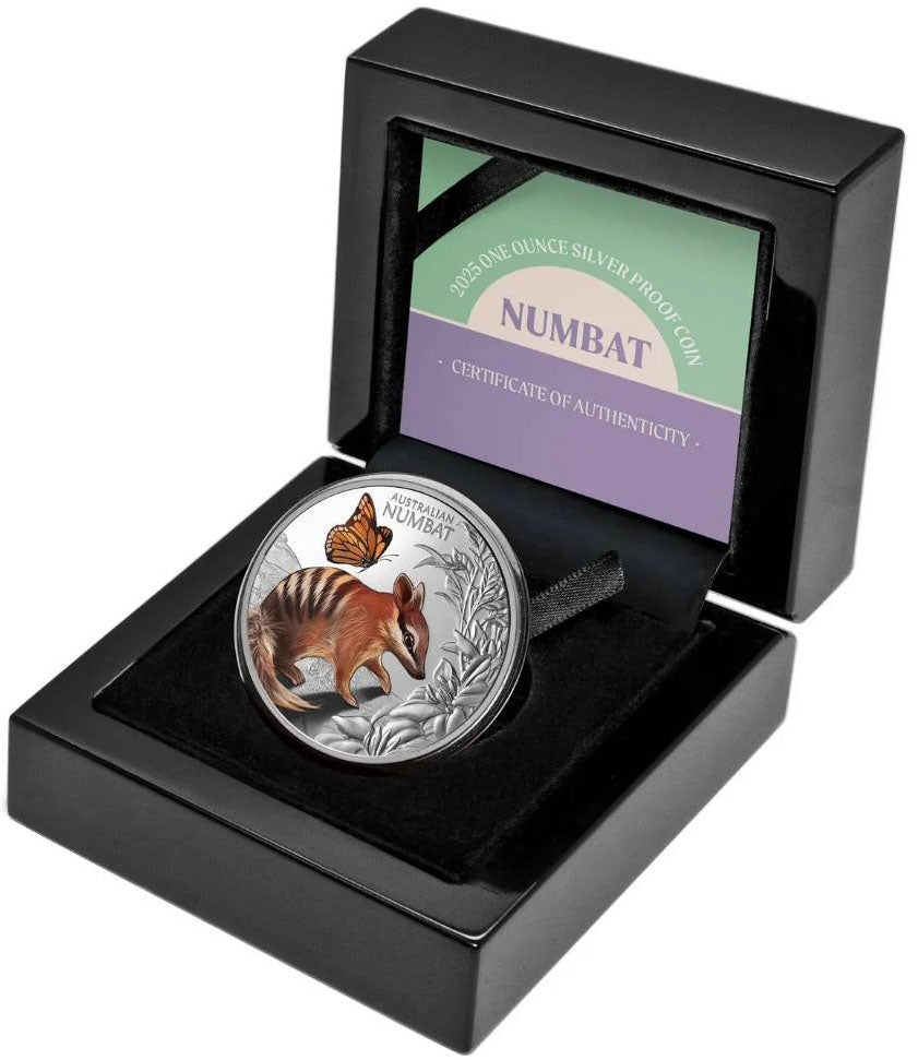 Niue 2025 $1 Baby Numbat Silver 1oz Coloured Proof Coin