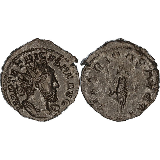 Gallic Empire, Tetricus I, Æ Antoninianus, 270-273 AD, VF