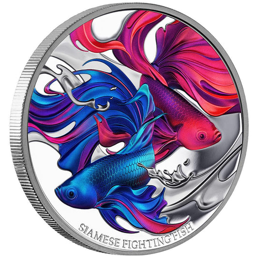 Niue 2024 $1 Siamese Fighting Fish 1oz Silver Coloured Proof Coin