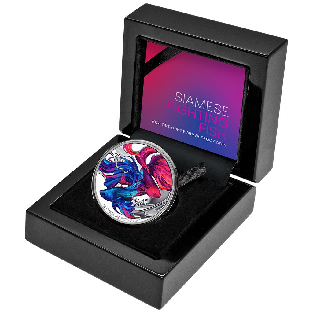 Niue 2024 $1 Siamese Fighting Fish 1oz Silver Coloured Proof Coin
