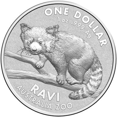 2018 $1 Australia Zoo Ravi Red Panda 1oz Silver Uncirculated Coin