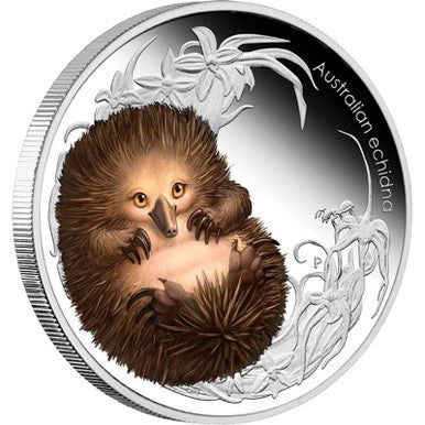 2012 50c Australian Bush Babies II Echidna 1/2oz Silver Coloured Proof Coin