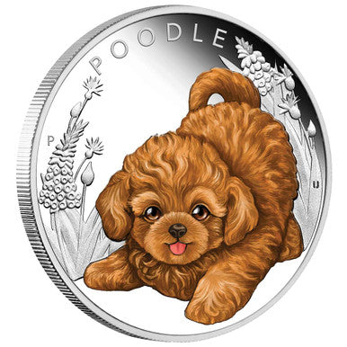 Tuvalu 2018 50c Puppies Poodle 1/2oz Silver Coloured Proof Coin