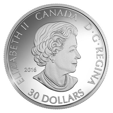 Canada 2016 $30 The Canada Goose Silver Proof Coin