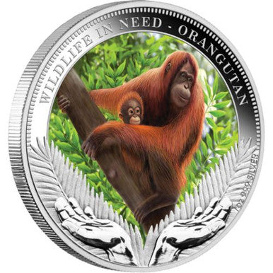 Tuvalu 2011 $1 Wildlife In Need Orangutan 1oz Silver Coloured Proof Coin