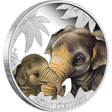 Tuvalu 2014 50c Mother's Love Asian Elephant 1/2oz Silver Coloured Proof Coin