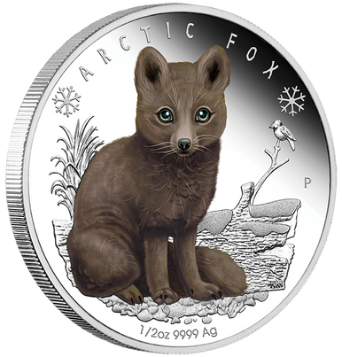 Tuvalu 2017 50c Polar Babies Arctic Fox 1/2oz Silver Coloured Proof Coin