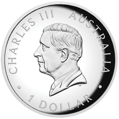 2024 $1 Australian Kangaroo 1oz Silver Coloured High Relief Proof Coin