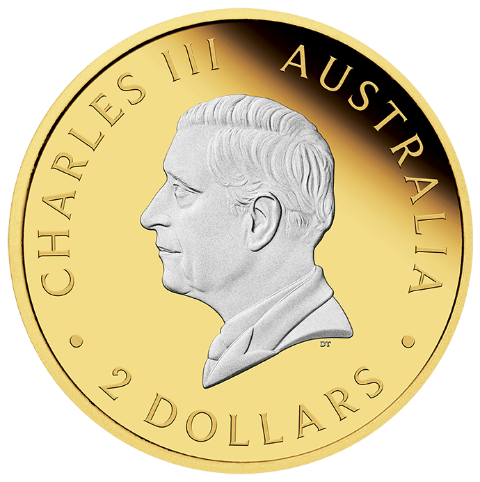 2024 $2 Australian Kangaroo 2oz Silver Reverse Gilded Coin