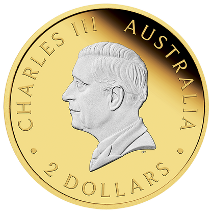 2024 $2 Australian Kangaroo 2oz Silver Reverse Gilded Coin