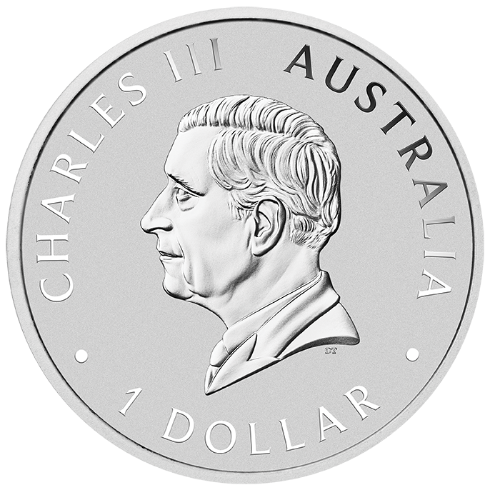 2024 $1 Australian Wombat 1oz Silver Coloured Uncirculated Coin