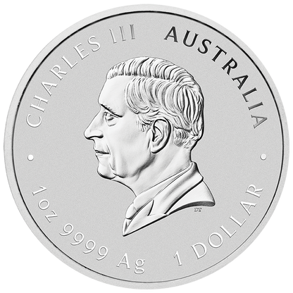 2025 $1 Quokka 1oz Silver Coloured Coin