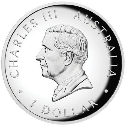 2025 $1 Australian Kangaroo 1oz Silver Coloured High Relief Proof Coin