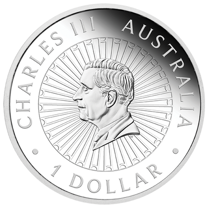 2025 $1 Great Southern Land Snakeskin Jasper 1oz Silver Proof Coin