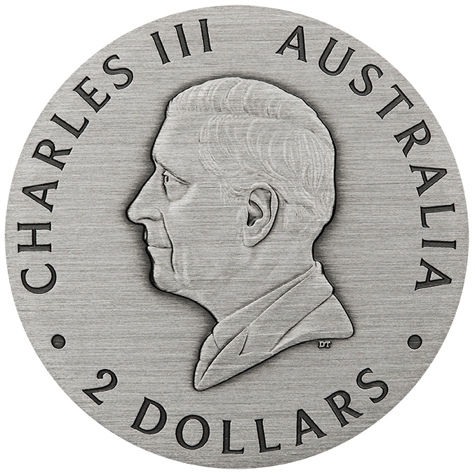 2025 $2 Honey Bee 2oz Silver Coloured Antiqued Coin