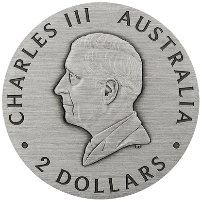 2025 $2 Honey Bee 2oz Silver Coloured Antiqued Coin