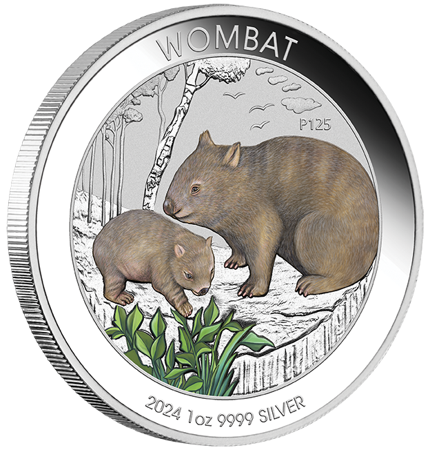 2024 $1 Australian Wombat 1oz Silver Coloured Uncirculated Coin