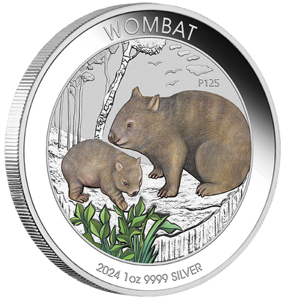 2024 $1 Australian Wombat 1oz Silver Coloured Uncirculated Coin