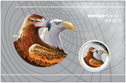 2026 $1 Australian Wedge-Tailed Eagle 1oz Silver Coloured Uncirculated Coin