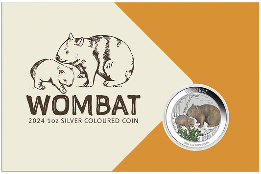 2024 $1 Australian Wombat 1oz Silver Coloured Uncirculated Coin