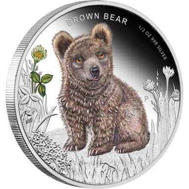 Tuvalu 2013 50c Forest Babies Brown Bear 1/2oz Silver Coloured Proof Coin