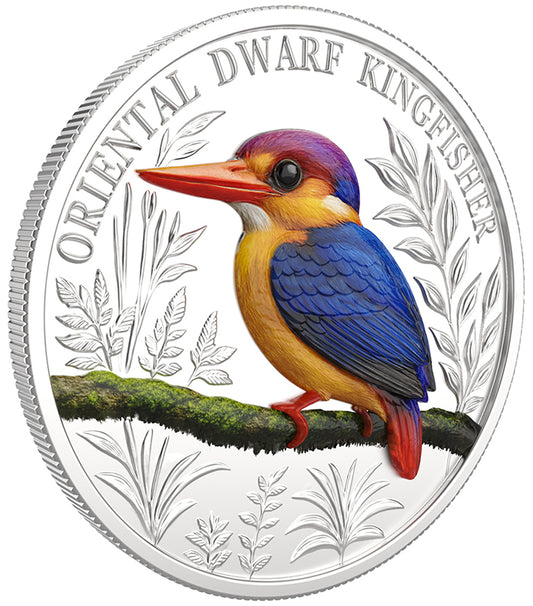 Ascension Island 2025 $1 Oriental Dwarf Kingfisher 1oz Silver Coloured Proof Coin
