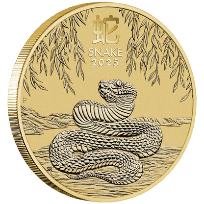 2025 $1 Year of The Snake PNC
