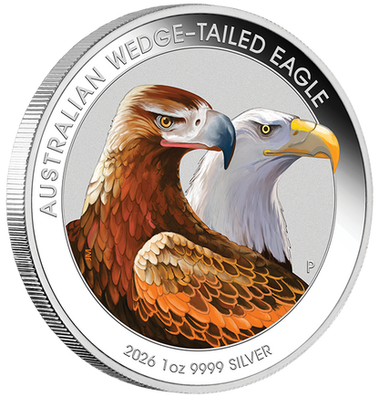 2026 $1 Australian Wedge-Tailed Eagle 1oz Silver Coloured Uncirculated Coin