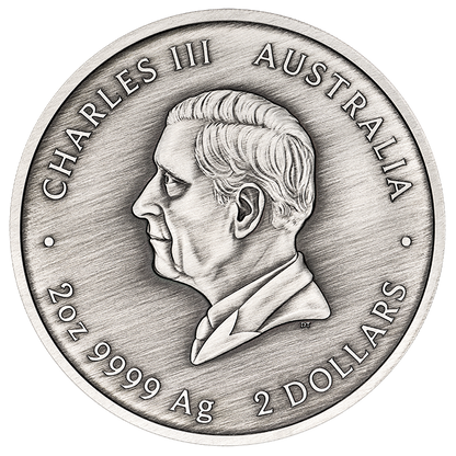 2026 $2 Turtle Yaunati 2oz Silver Coloured Antiqued Coin