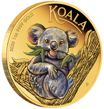 2026 $100 Australian Koala 1oz Gold Coloured Proof Coin