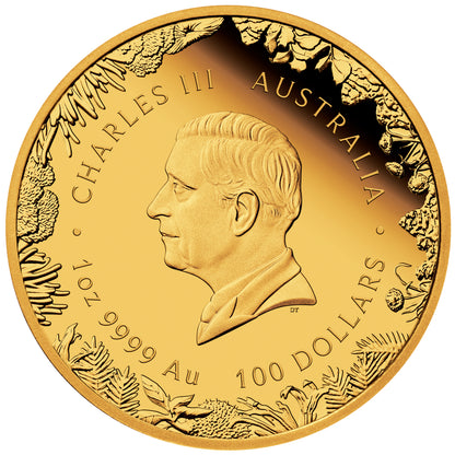 2026 $100 Wonders of Australia The Outback 1oz Gold Proof Coin