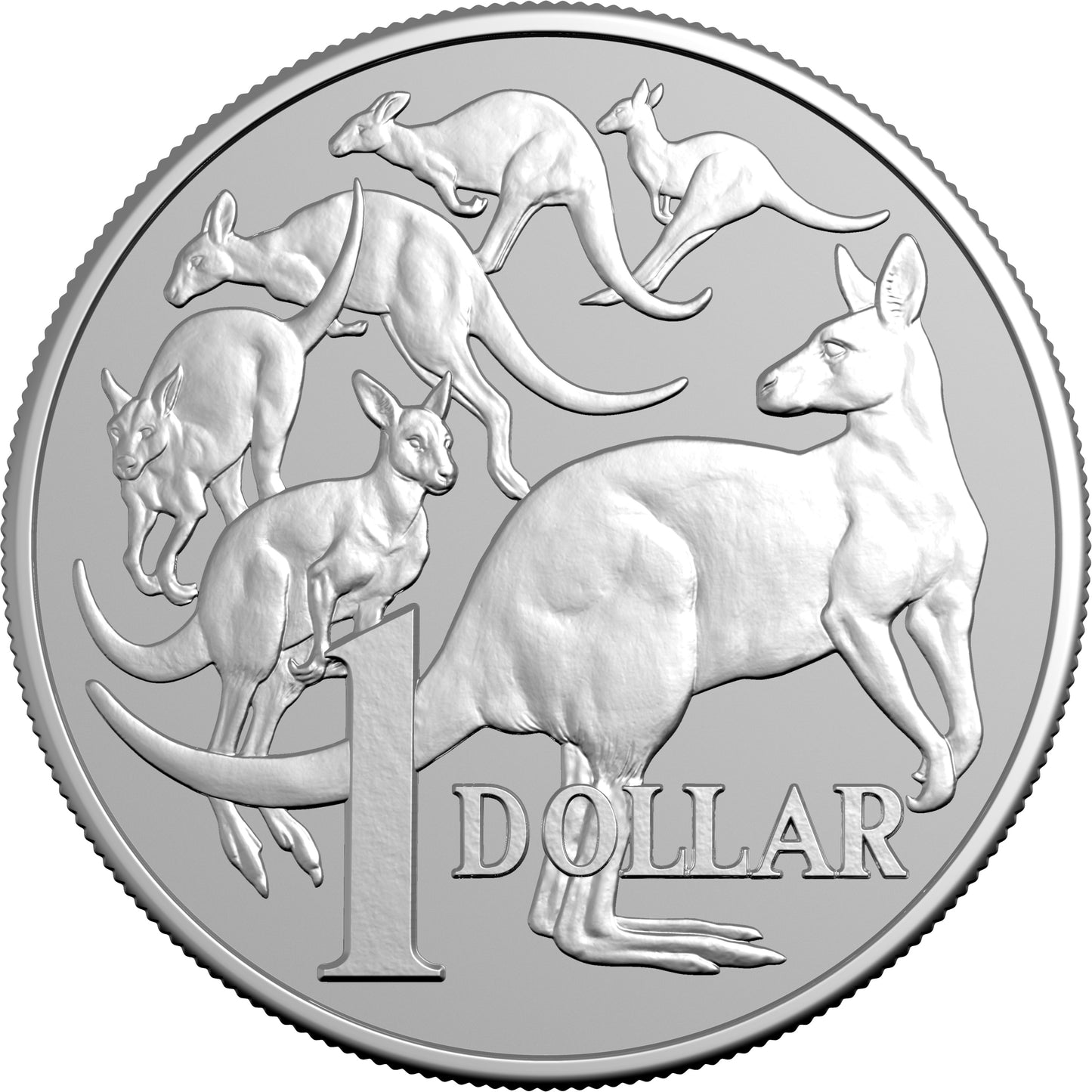 2026 $1 Kangaroo Mob of Six 1oz Silver Uncirculated Coin