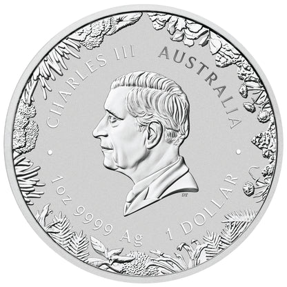 2026 $1 Wonders of Australia The Outback 1oz Silver Coloured Coin