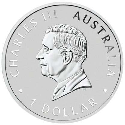 2026 $1 ANDA Perth Australian Swan 1oz Silver Coloured Coin