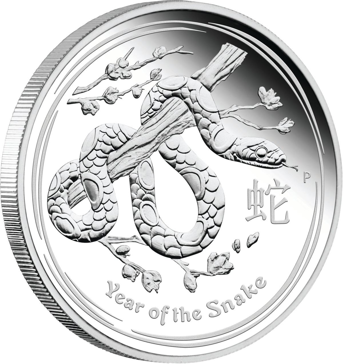 2013 $1 Lunar Year of The Snake 1oz Silver Proof Coin