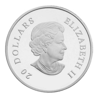 Canada 2010 $20 Crystal Snowflakes Blue 1oz Silver Proof Coin