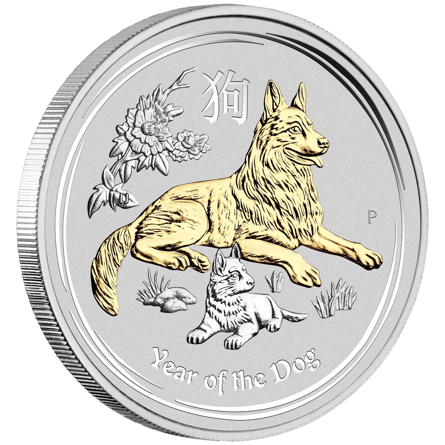2018 $1 Lunar Year of The Dog 1oz Silver Gilded Coin