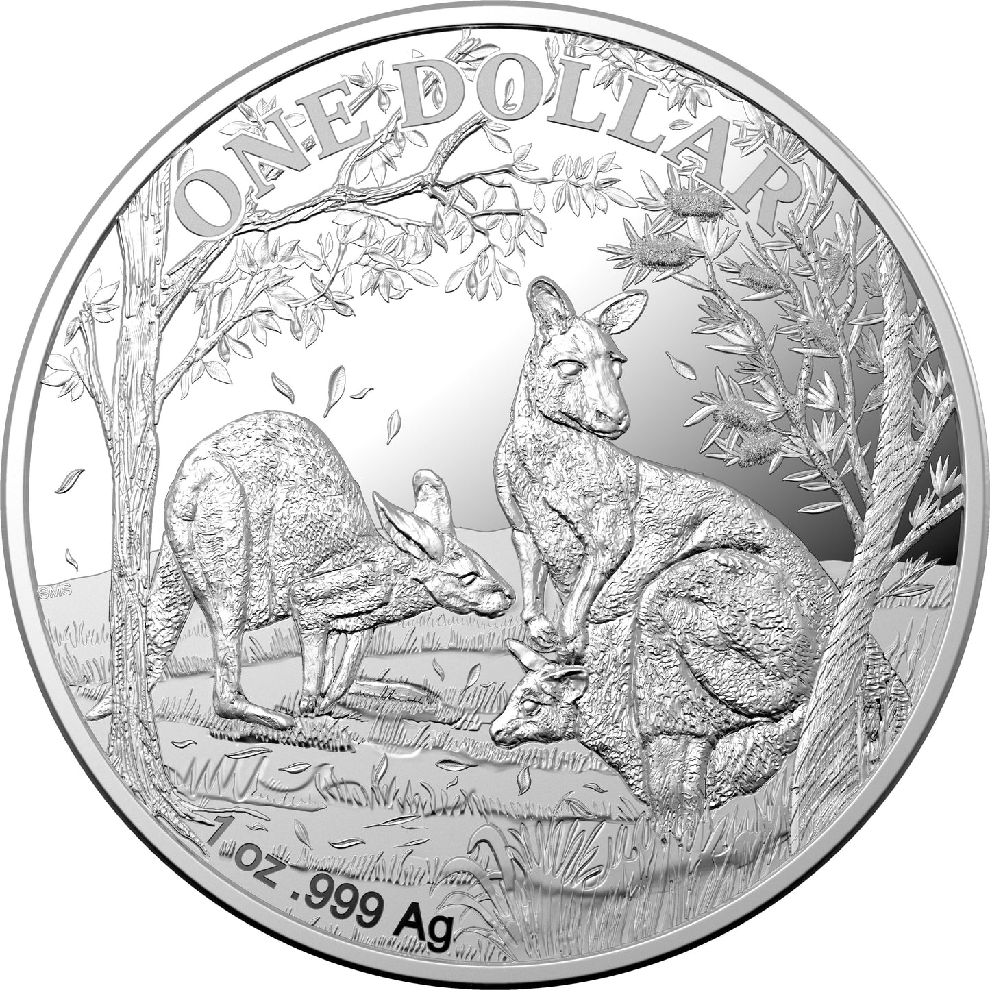 2019 $1 Kangaroo Seasons Change 1oz Silver Proof Coin