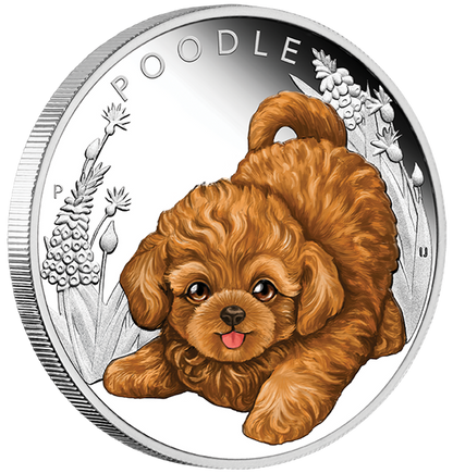 Tuvalu 2018 50c Puppies Poodle 1/2oz Silver Coloured Proof Coin