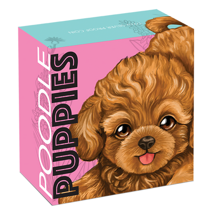 Tuvalu 2018 50c Puppies Poodle 1/2oz Silver Coloured Proof Coin