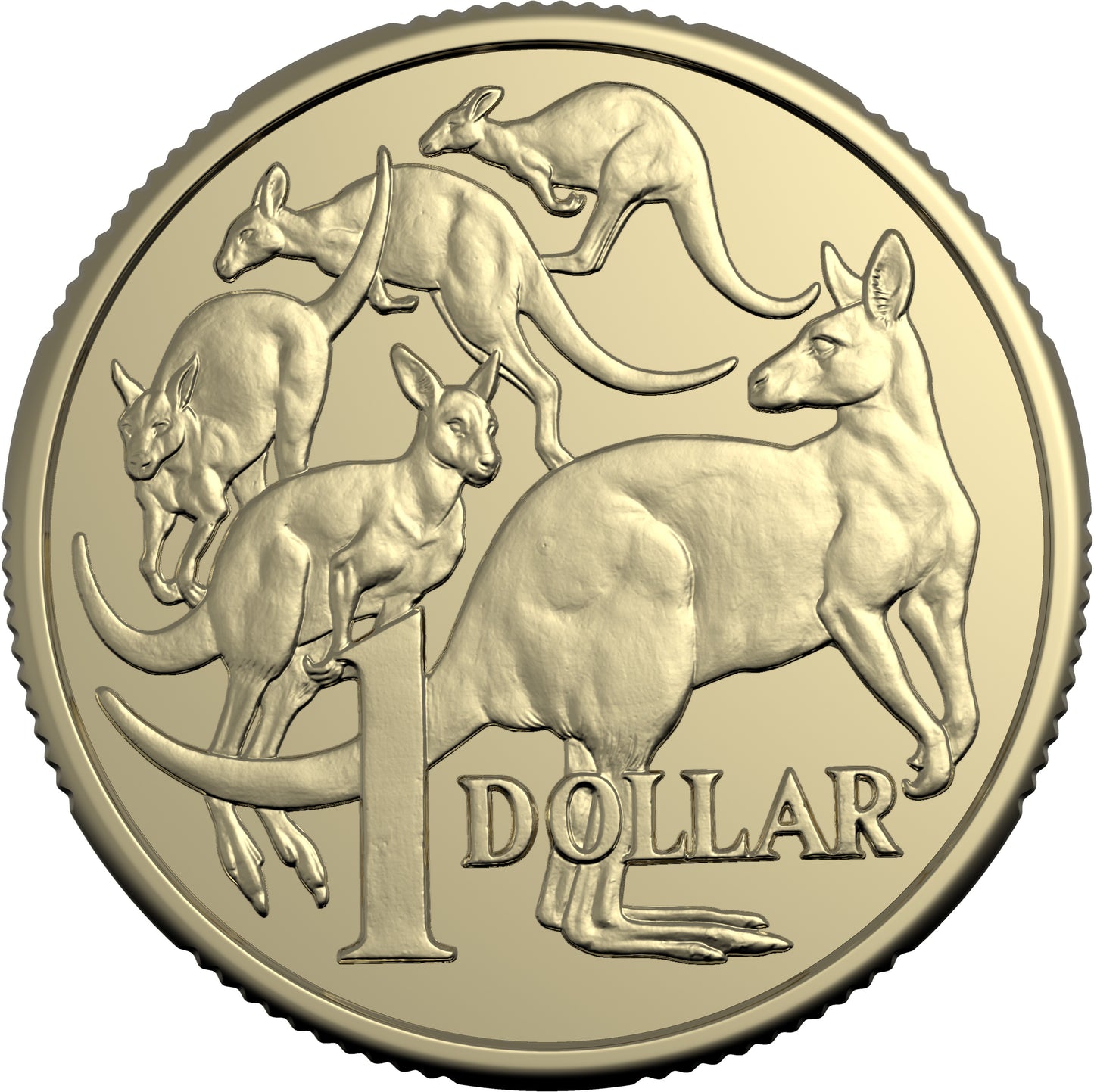 2025 $1 King Charles III Obverse NON PREMIUM Roll